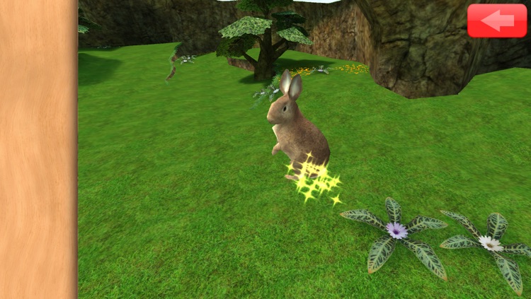 Animated Toddler Puzzles