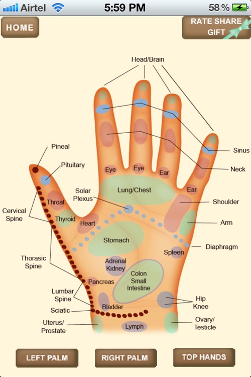 iPocket Hand Reflexology