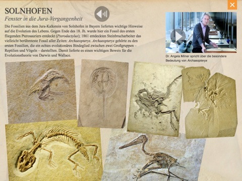 Evolution – Faszination Erdgeschichte: Urtiere, Dinosaurier, Neandertaler & Co screenshot 4