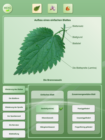 Biology - Plant handbook Free screenshot 3