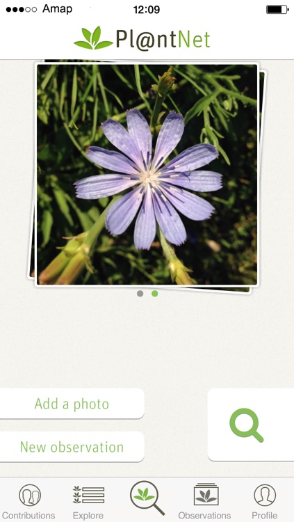PlantNet screenshot-3