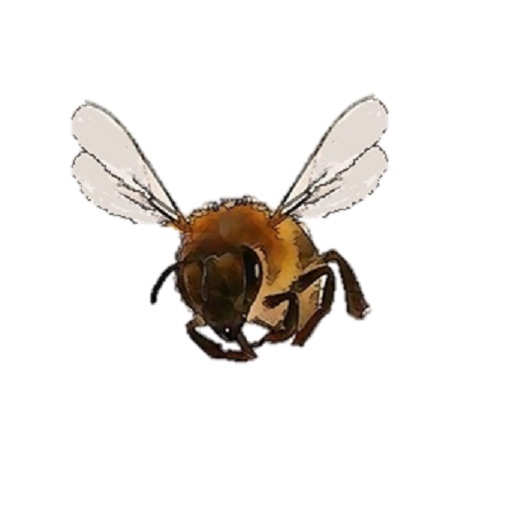 Bee Zapper Icon