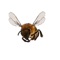 Bee Zapper