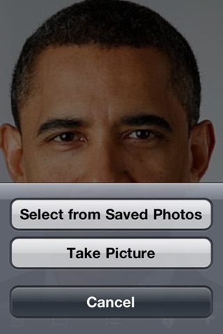 Make A President 2012 screenshot 2