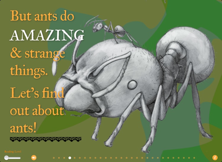 The Strange & Wonderful World of Ants