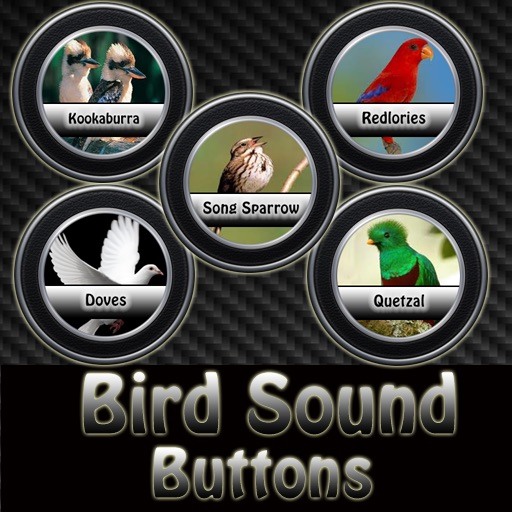 Bird Sound Buttons icon