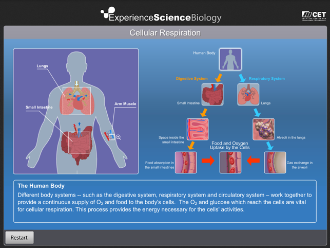 Experience Biology(圖4)-速報App