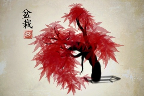 iBonsai