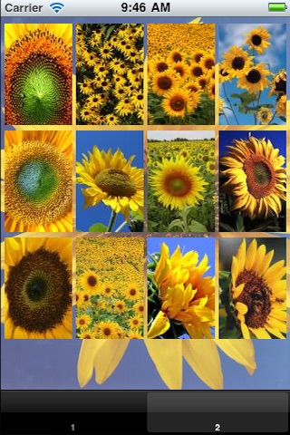 Sunflower Wallpaper screenshot 3