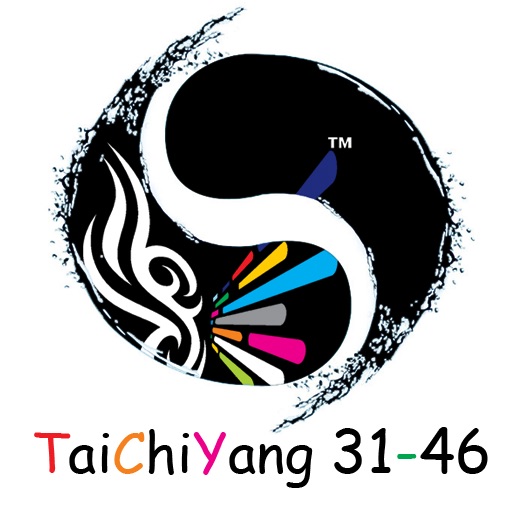 TaiChiYang3146 icon