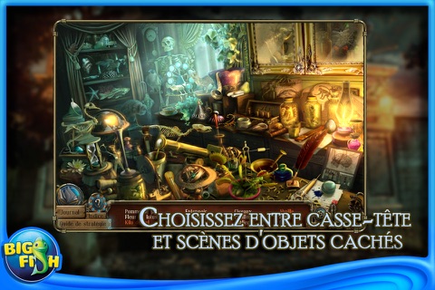 Time Mysteries 2: The Ancient Spectres Collector's Edition screenshot 3
