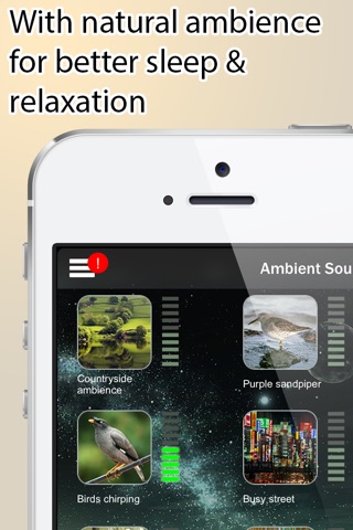 iSleep - PI & Natural Ambience for Sleeping screenshot 3