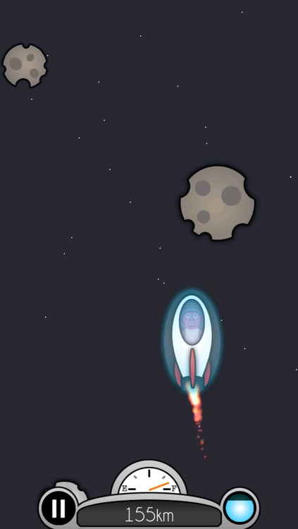 Rocket Chimp