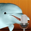 Talking Dolphin Pro