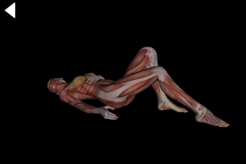 360 Anatomy for Artists - Reclining Figure screenshot 3