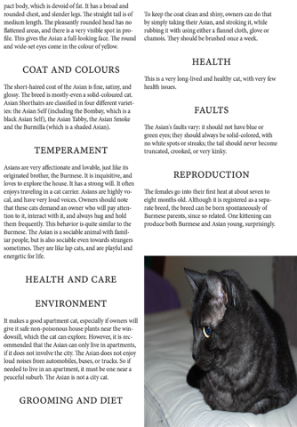 Cats Magazine screenshot 3