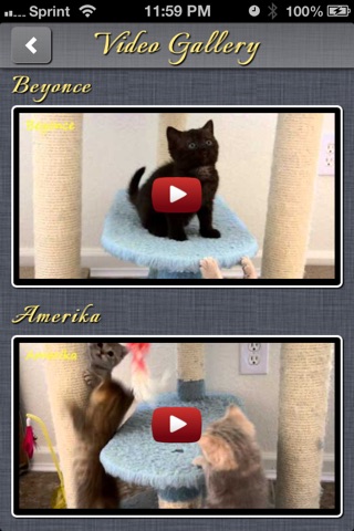 Anahata Cats screenshot 3