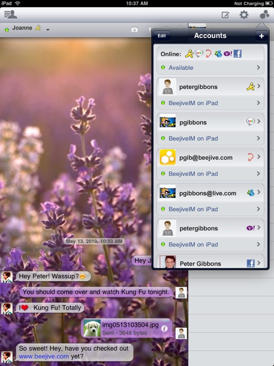 BeejiveIM for iPad