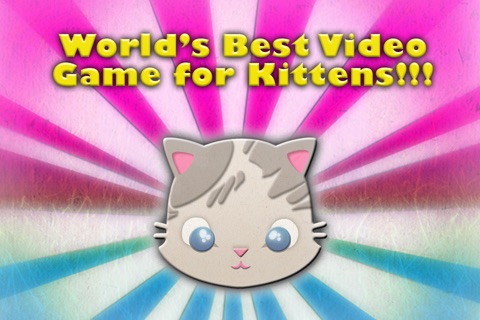 Game for Kittens screenshot-3