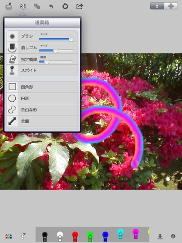 PocketBrush for iPad screenshot 2