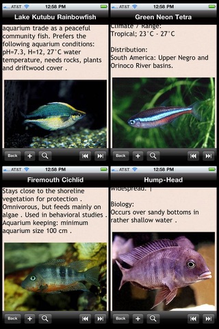 Tropical Fish Encyclopedia screenshot 2