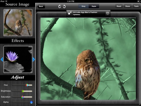 Image Tinting screenshot 3