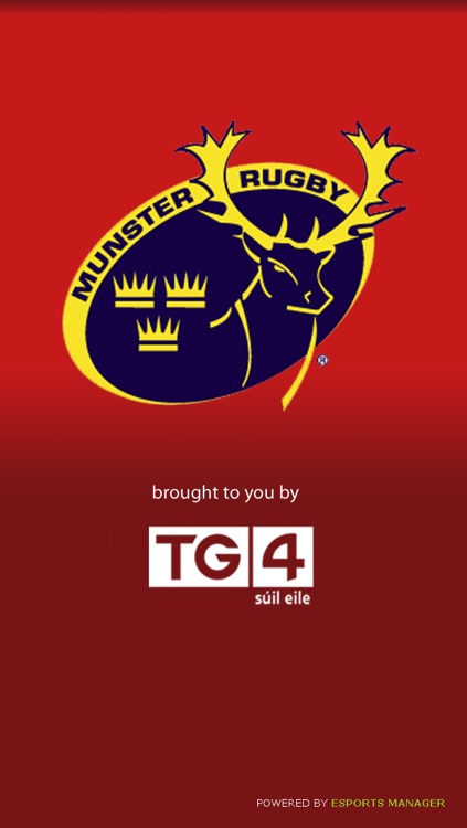 Munster Domestic Rugby