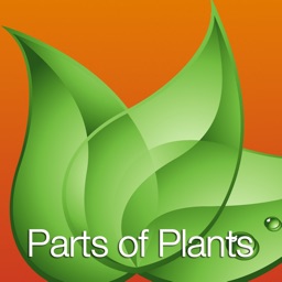 Parts of Plants