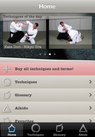 Aikido Techniques screenshot 2