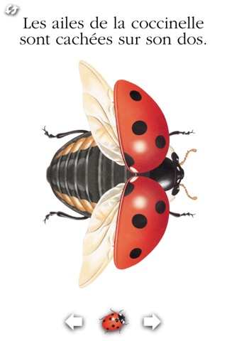 La coccinelle pour iPhone screenshot 2