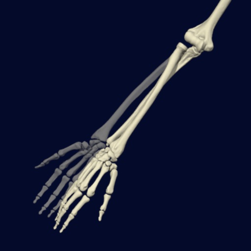 Functional Anatomy for Movement and Injuries: Elbow | iPhone & iPad
