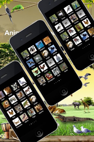 80 Animal Sounds in 1 App! screenshot 3