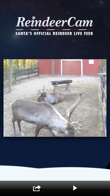 ReindeerCam