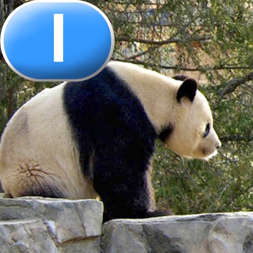 Tian Tian, a Giant Panda - LAZ Reader [Level I–first grade]