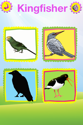Birds book screenshot 4