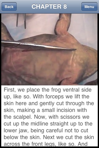 Kid Science: Frog Dissection screenshot 4