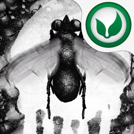 Motherflyers Plague: Rip Their Guts Icon