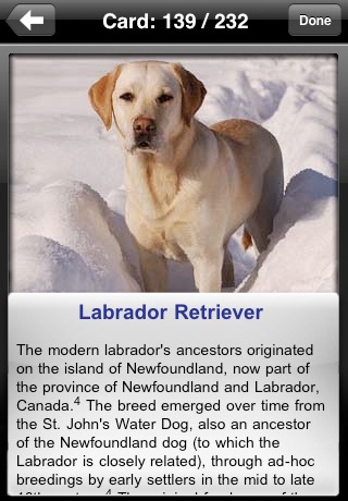 Dogs Flip: Flashcards of Dog Breeds screenshot 3