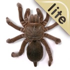 Real Creepy Crawlies Lite