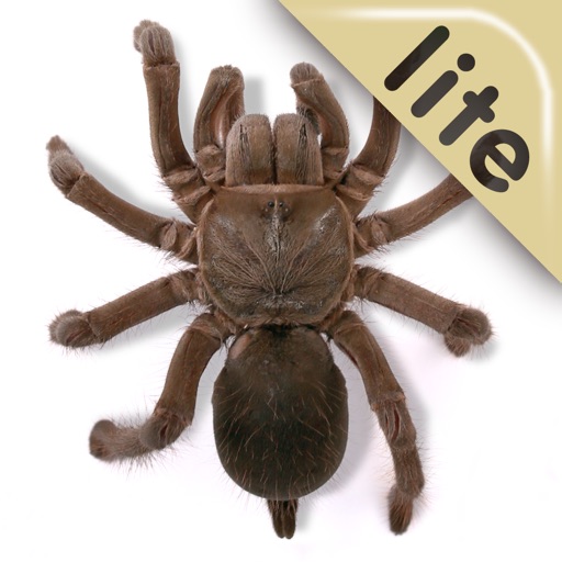 Real Creepy Crawlies Lite iOS App