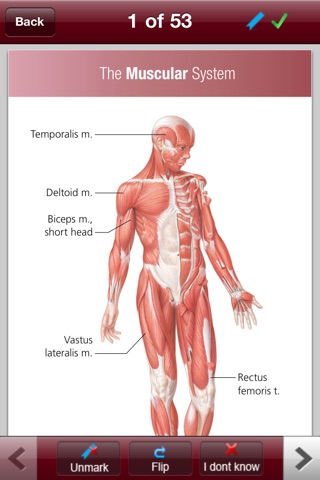 Anatomy & Physiology Flash Cards screenshot 3