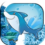 Dolphin Swim Safe Ocean Adventure