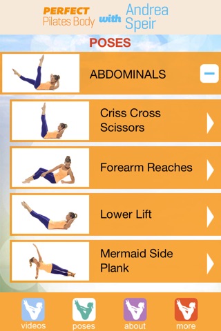 Perfect Pilates Body screenshot 3