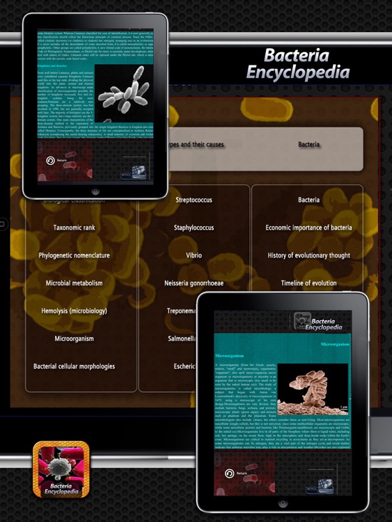 Bacteria Encyclopedia