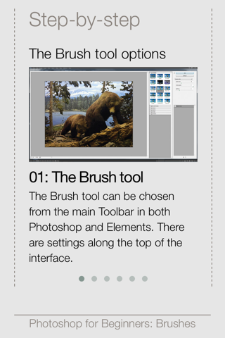 For Beginners: Photoshop Brushes Edition screenshot 3