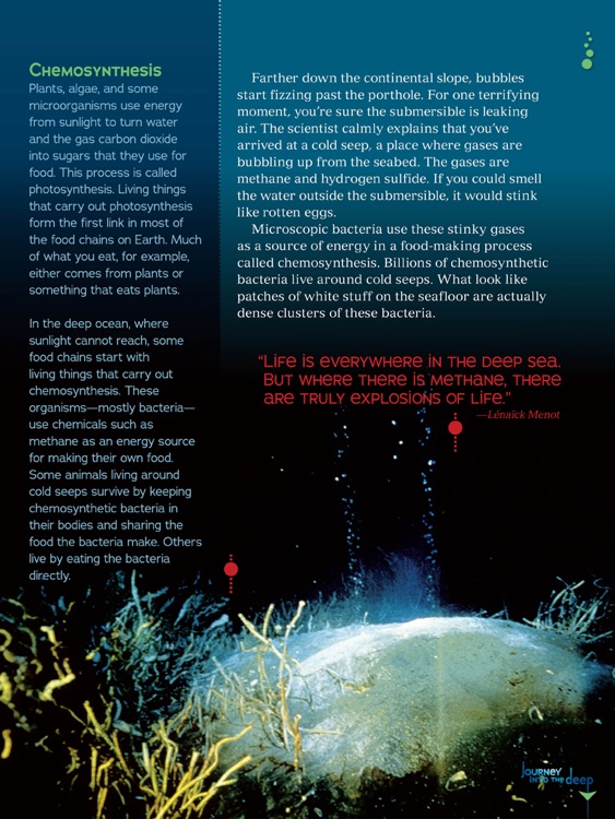 Journey Into the Deep