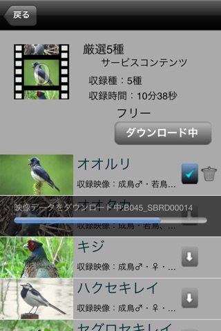 Smart Birding 〜野鳥映像アーカイブス〜 screenshot 4