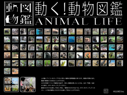 動く！動物図鑑：Animal Life for Japanのおすすめ画像1