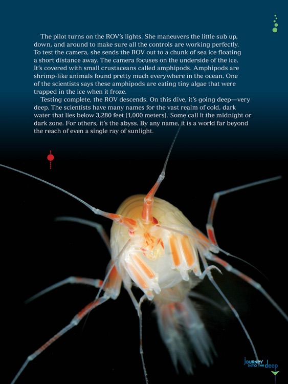 Journey Into the Deep