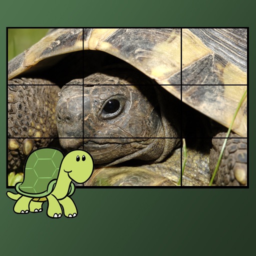 turtles puzzles for kids